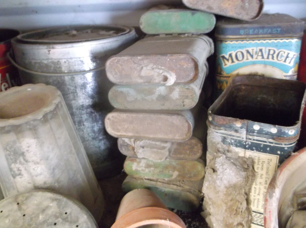DSCF9781.JPG