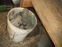 DSCF9809.JPG