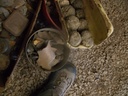 DSCF9806.JPG