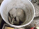 DSCF9805.JPG