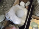 DSCF9802.JPG