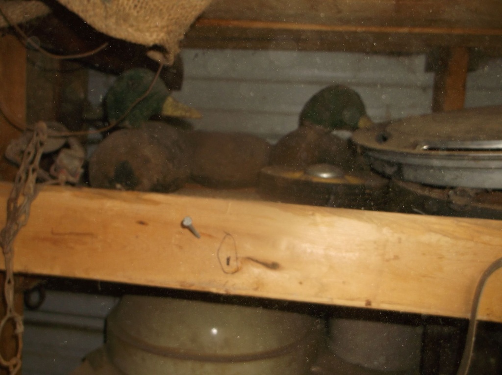 DSCF9799.JPG