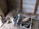 DSCF9830.JPG