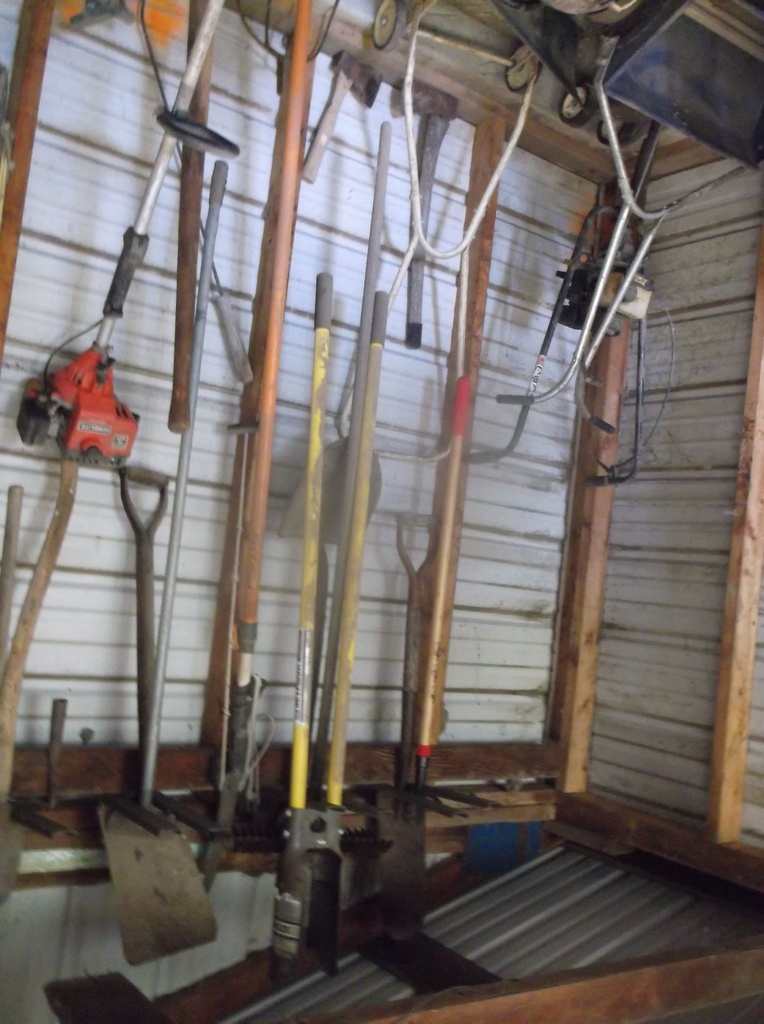 DSCF9821.JPG
