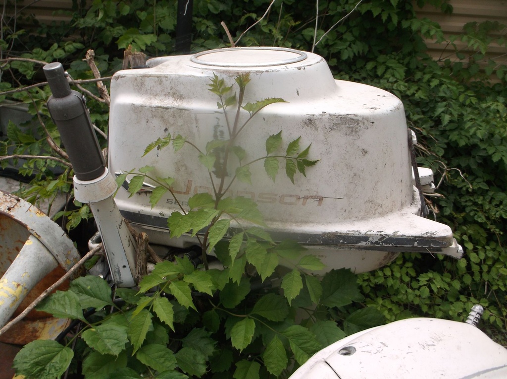 DSCF9839.JPG