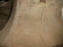 DSCF9878.JPG