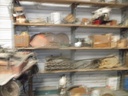 DSCF9899.JPG