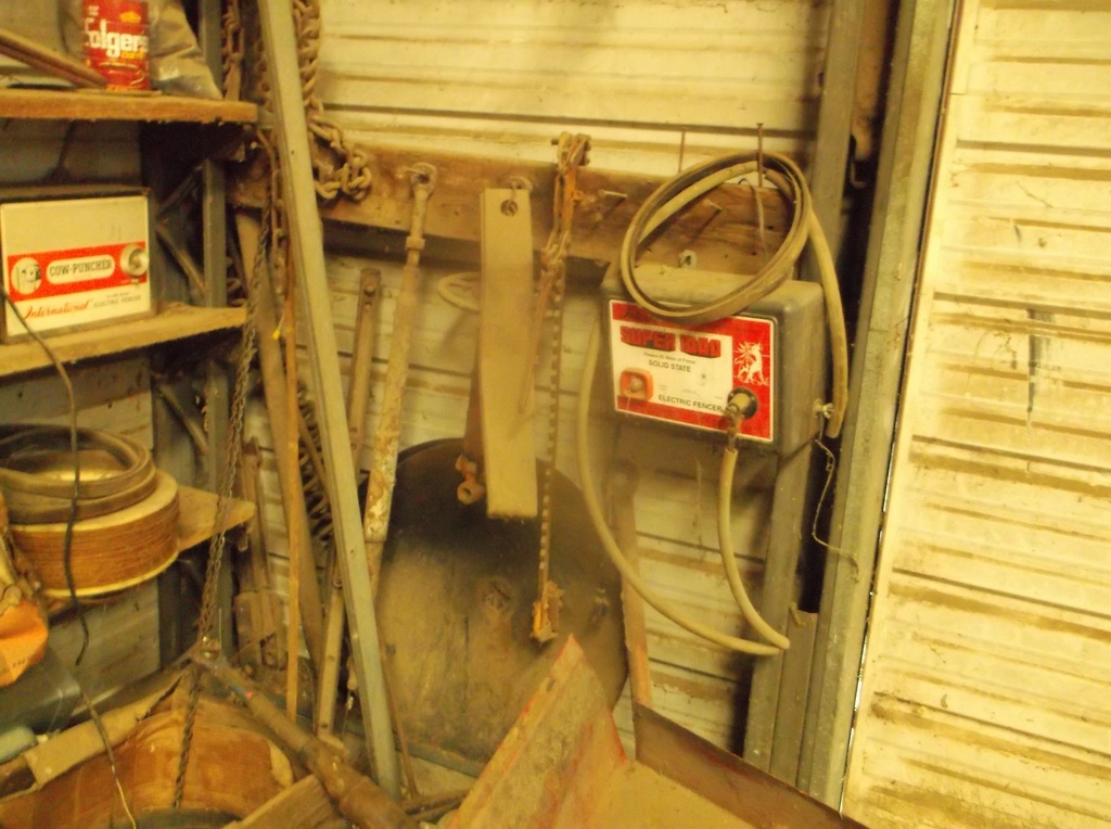 DSCF9908.JPG