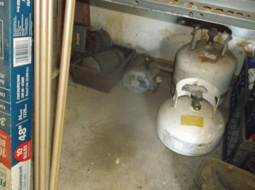 DSCF9935.JPG