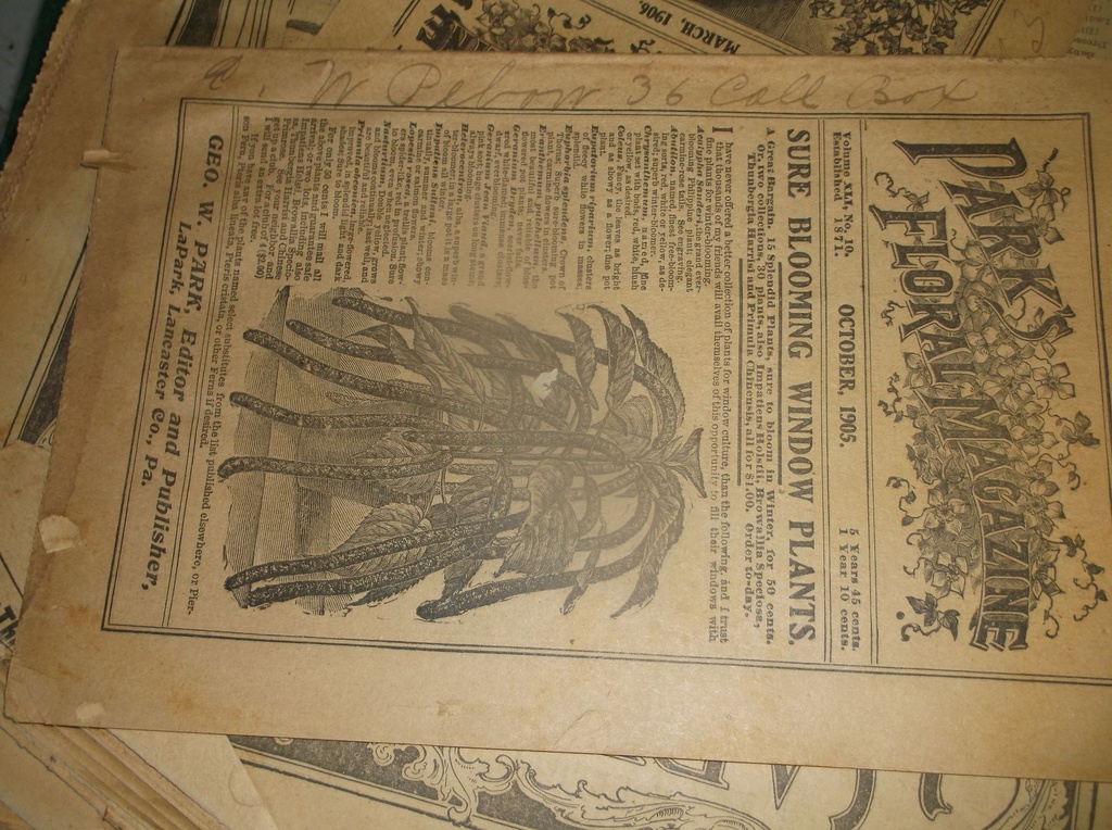 DSCF9922.JPG