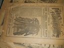 DSCF9922.JPG