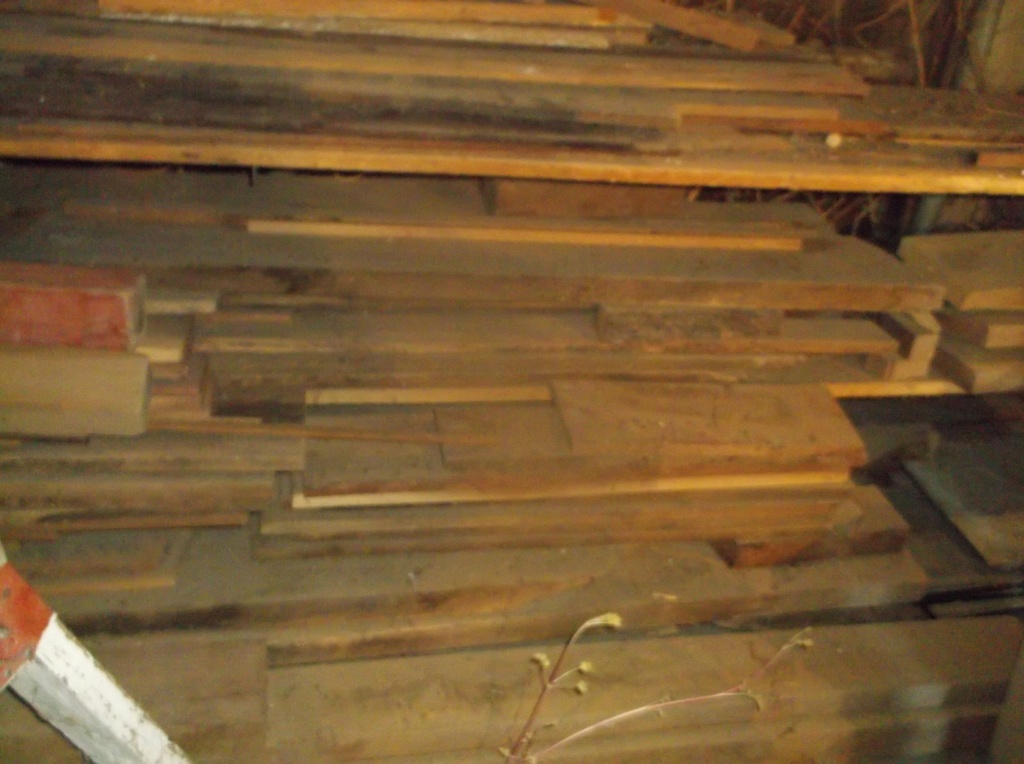 DSCF9953.JPG