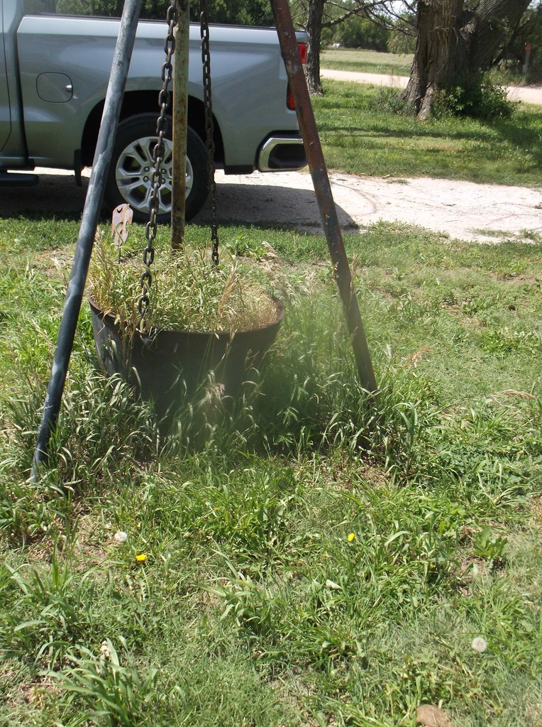 DSCF9965.JPG