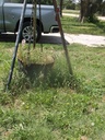 DSCF9965.JPG