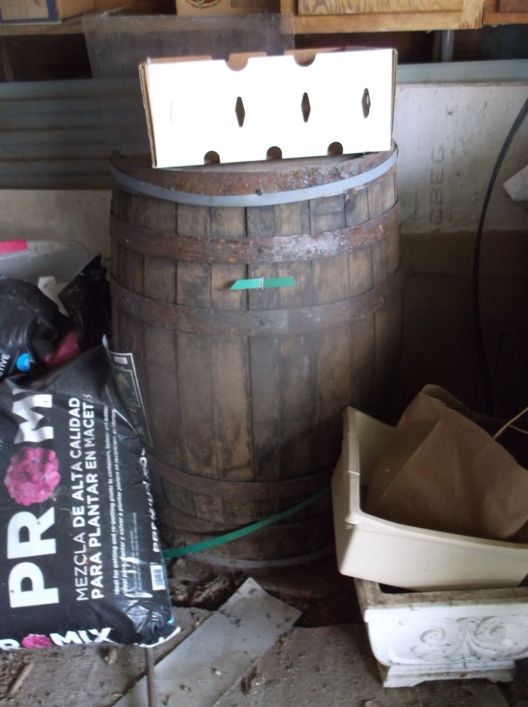DSCF9963.JPG