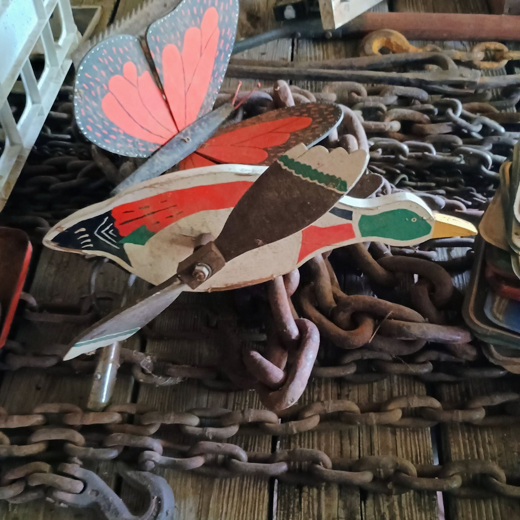 IMG_20260724_143438574_HDR_AE.jpg