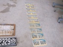 DSCF0608.JPG