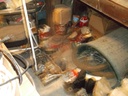 DSCF0237.JPG