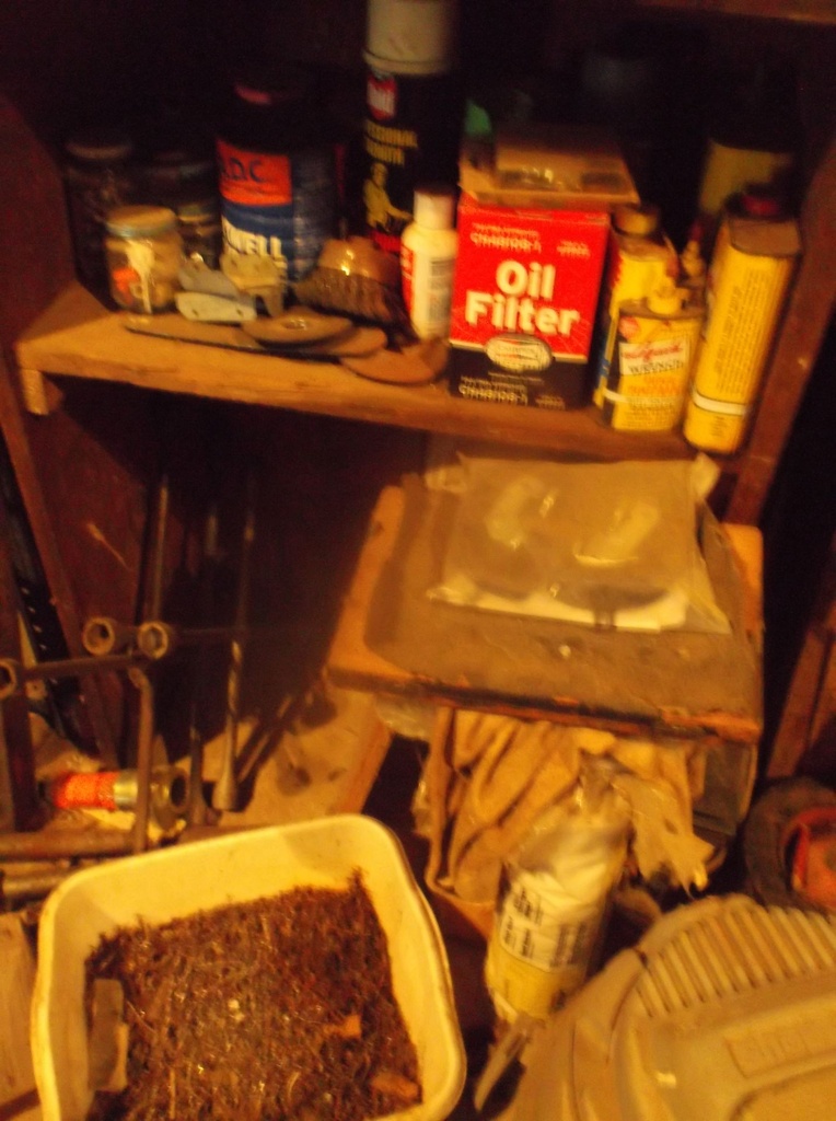 DSCF0271.JPG