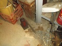 DSCF0292.JPG