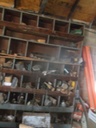 DSCF0348.JPG
