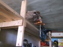DSCF0408.JPG