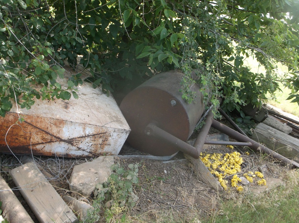 DSCF0452.JPG