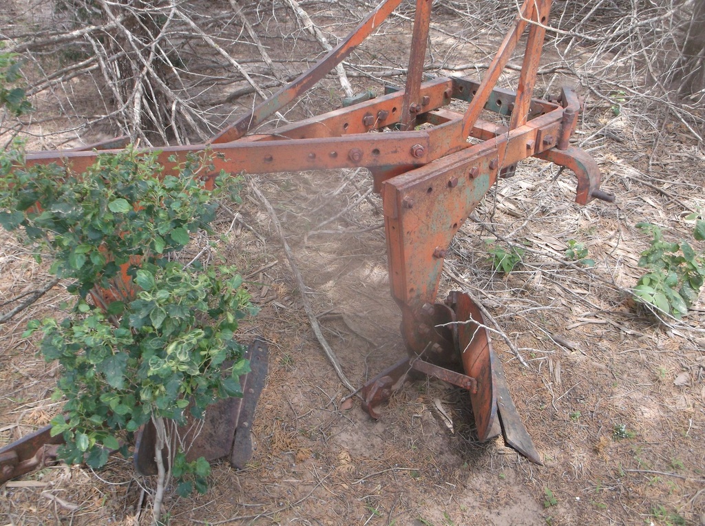 DSCF0442.JPG