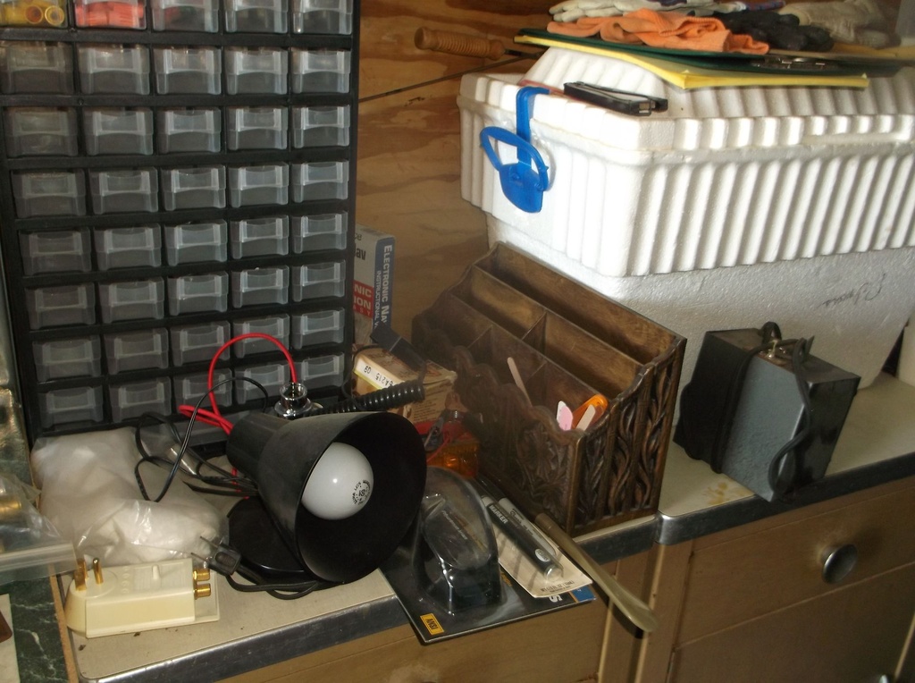 DSCF0499.JPG