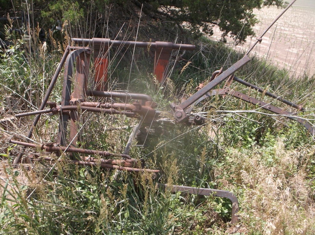DSCF0518.JPG
