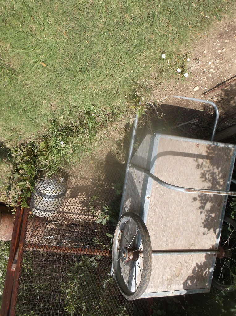 DSCF0511.JPG