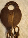20260710_165253.jpg