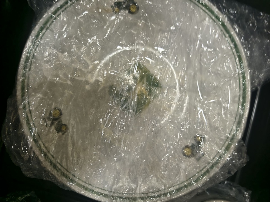 1000000945.jpg