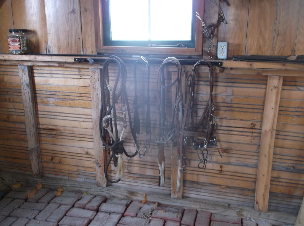 DSCF1070.JPG