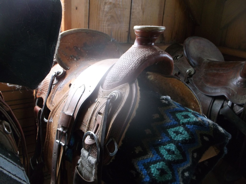 DSCF1065.JPG