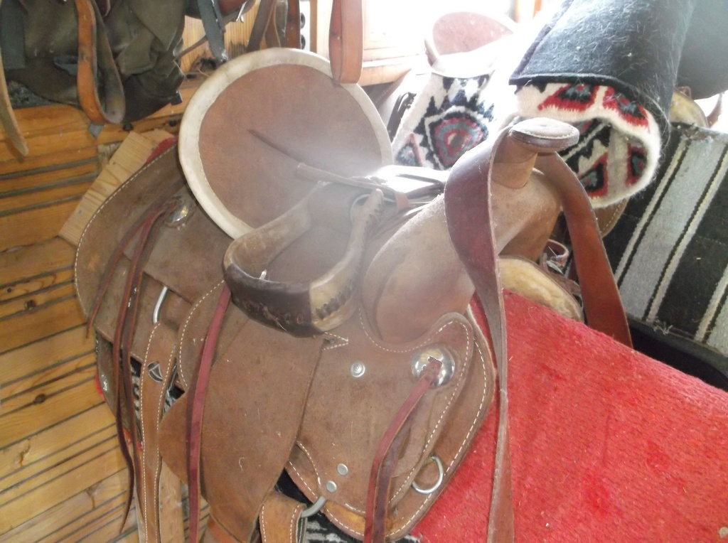 DSCF1062.JPG