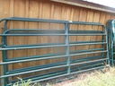 DSCF1048.JPG