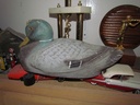 IMG_7914.JPG