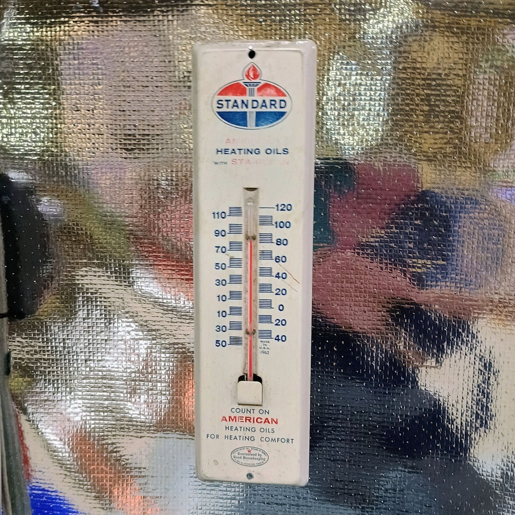 IMG_20260712_100237445_HDR_AE.jpg