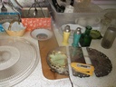 DSCF1106.JPG