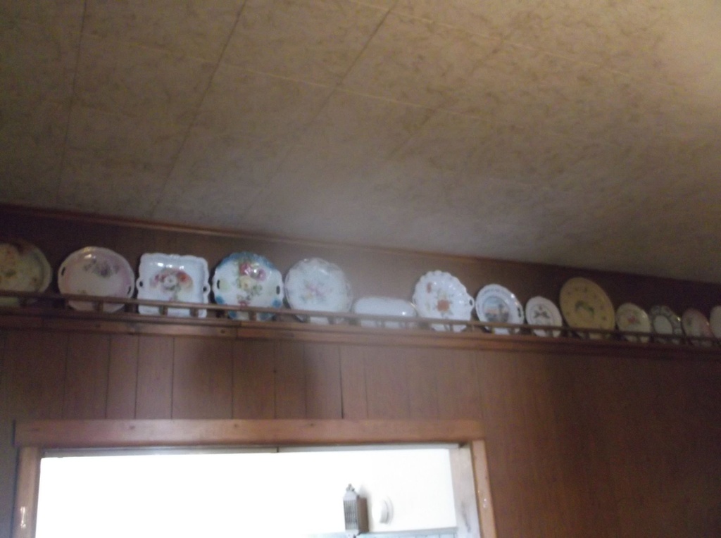 DSCF1129.JPG
