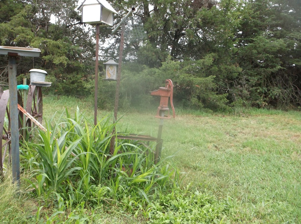 DSCF1780.JPG