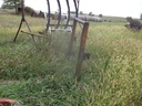 DSCF1821.JPG
