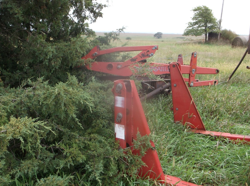 DSCF1820.JPG