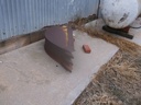 DSCF1606.JPG