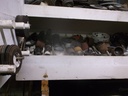 DSCF1628.JPG