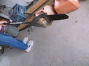 DSCF1742.JPG