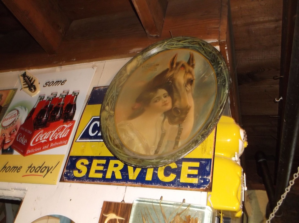 DSCF1347.JPG