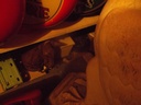 DSCF1495.JPG