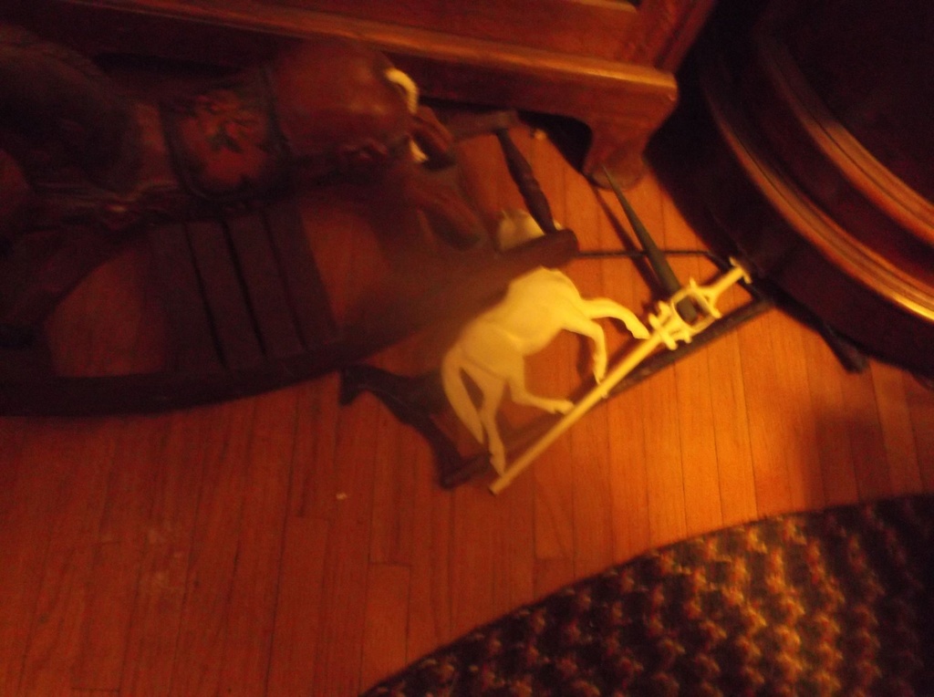 DSCF1551.JPG